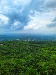 Fototapeta na wymiar Vertical shot of vast forests with a rural settlement seen from afar and the cloudy sky above