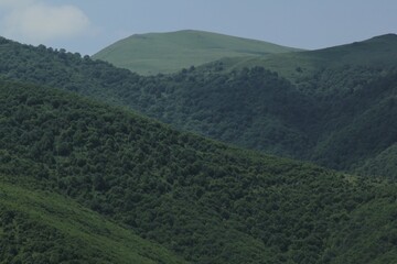 Fototapeta na wymiar Beautiful view of dense green trees in the mountains
