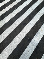 Fototapeta premium Closeup shot of a street white lines.