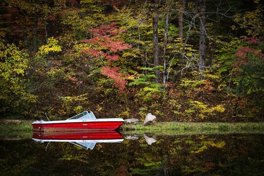 Beautiful shot of a red boat moored onto a lake in a lush forest