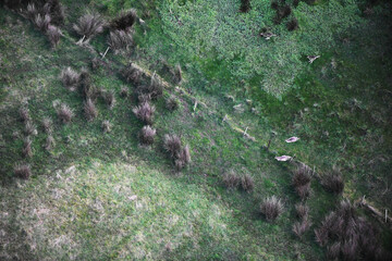 Aerial View of Kangaroos Jumping Over a Farm Fence Line
