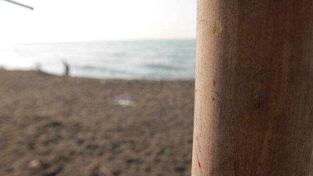 bamboo photo with blurred beach background outdoor beautyfull photo aesthetic