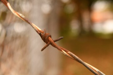 Closeup of a link of a rusty barbed wire fence