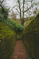 Vertical shot of stone alley walls covered in moss on a trail