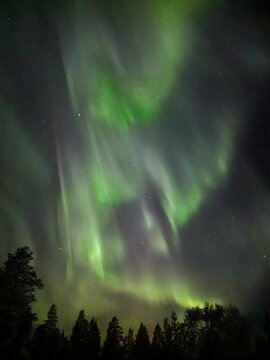 Vertical shot of the mesmerizing Northern lights in the night sky over a forest