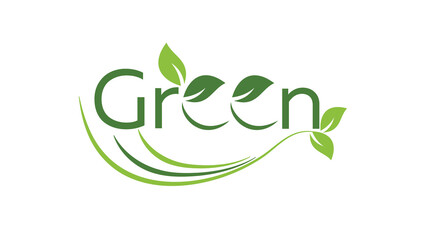 hand holding green leaf