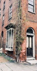 Vertical shot of spanish moss climbing on the corner wall of old brick building