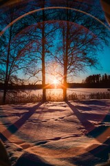 Beautiful winter forest with bared trees against a scenic sunset in Dalarna, Sweden