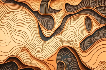 pattern of topographic contour lines