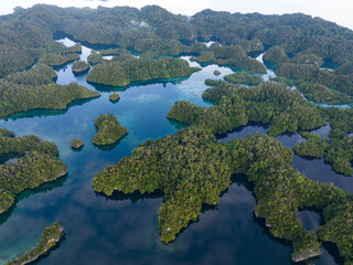 Scenic islands inside the larger island of Gam are fringed by mangrove forest and beautiful coral...