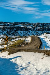 Vertical shot of a dirt road surrounded by snow during winter