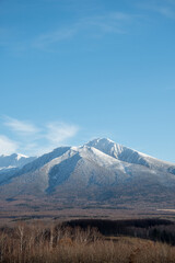 Fototapeta premium 晩秋の晴れた日の雑木林と冠雪の山並み 十勝岳連峰 