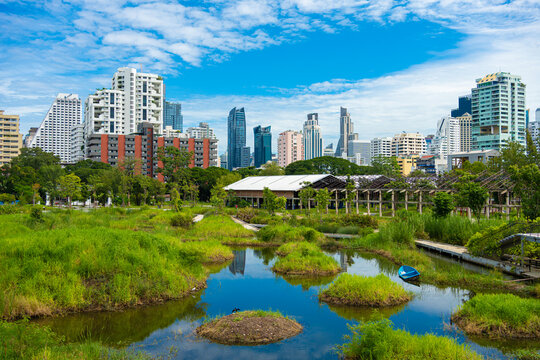 City green forest park Benchakitti new tropical park with office building Silom city