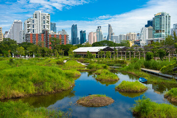 City green forest park Benchakitti new tropical park with office building Silom city