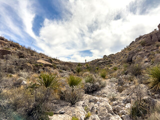 Fototapeta na wymiar Barely Visible Telephone Canyon Trail Heads Uphill