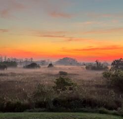 Bright Sunrise and Light Fog Over The Everglades