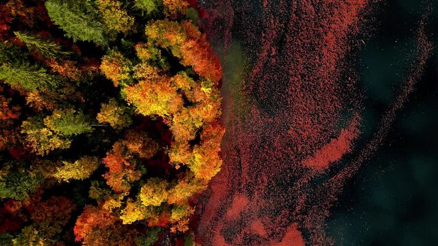 Lake Toplitz In Austria - Mountain Lake And Forest In Autumn. aerial topdown