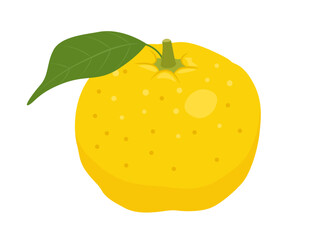 柚子のベクターイラスト