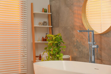 Spa day. Stylish bathroom interior with ceramic tub, mirror and green houseplant