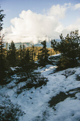 snow covered mountains