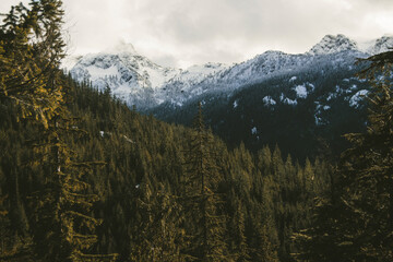 mountains in the morning