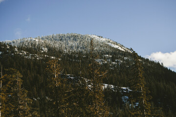 snow covered mountains
