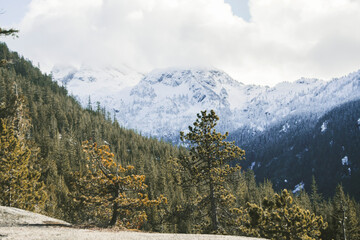 snow covered mountains in winter