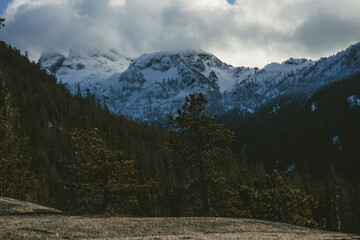 snow covered mountains