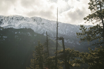 lake in the mountains