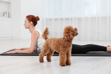 Young woman practicing yoga on mat with her cute dog indoors, selective focus