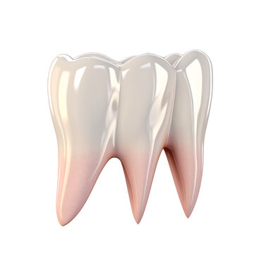 Three-Rooted Lower Molar  Anomaly Isolated