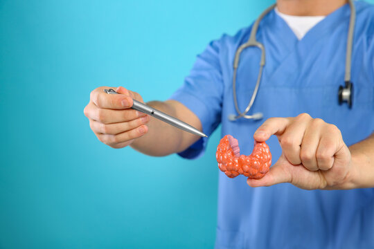 Endocrinologist showing thyroid gland model on light blue background, closeup. Space for text