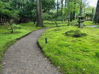 Bright moss, different plants and stone lantern near pathway in Japanese garden