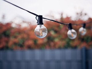 a garland in the garden