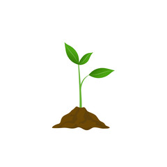 Grow  plant  tree grow agriculture icons