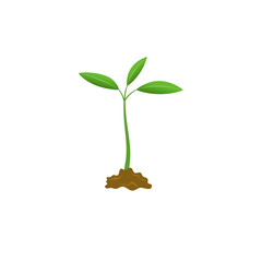 Grow  plant  tree grow agriculture icons