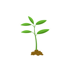 Fototapeta na wymiar Grow plant tree grow agriculture icons