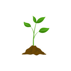 Grow  plant  tree grow agriculture icons