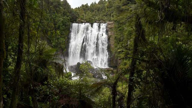 Marokopa Falls viewed through thick forest in the Waitomo area of the Waikato Region, New Zealand. Here the Marokopa River cascades over the undercut greywacke basement rock.
