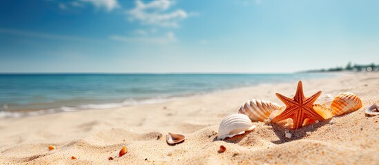Fototapeta na wymiar Sunshine illuminates the sandy beach adorned with lovely shells in summer
