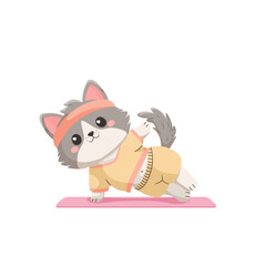 Kot w sportowym ubraniu ćwiczący na różowej macie. - obrazy, fototapety, plakaty