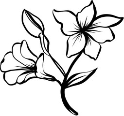 floral frame