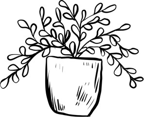house plant hand drawn
