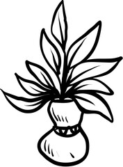 house plant hand drawn