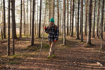 Middle aged woman hiker with tree stick in hand hiking walking in autumn forest enjoying nature. Scandinavian pine tree woodland. Female tourist in warm clothes. Tourism, travel wanderlust concept.