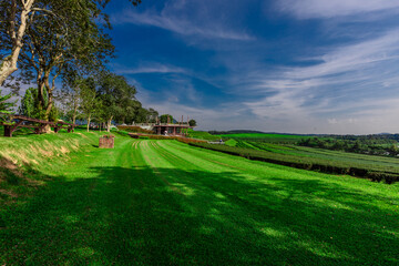 natural background of many species of plants that are laid out in the park, for the propagation of the species and to provide shade for those who stop by while traveling to study the ecology.