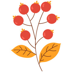 Rowan berries autumn element. Vector illustration with autumn theme.