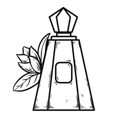 perfume with leaf hand drawn