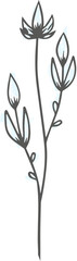Floral branch and Leaf Hand drawn line drawing 