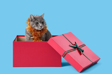 Cute cat with tinsel in Christmas gift box on blue background
